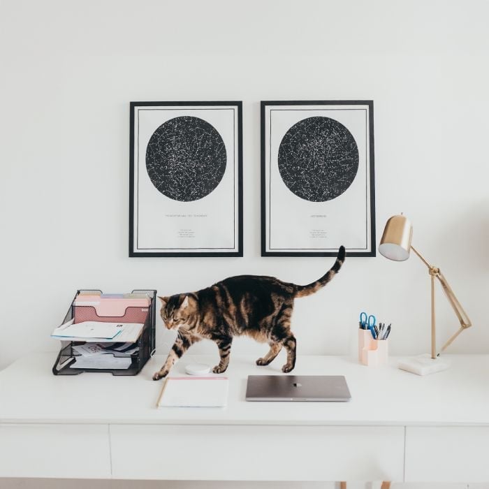 two star map prints side by side