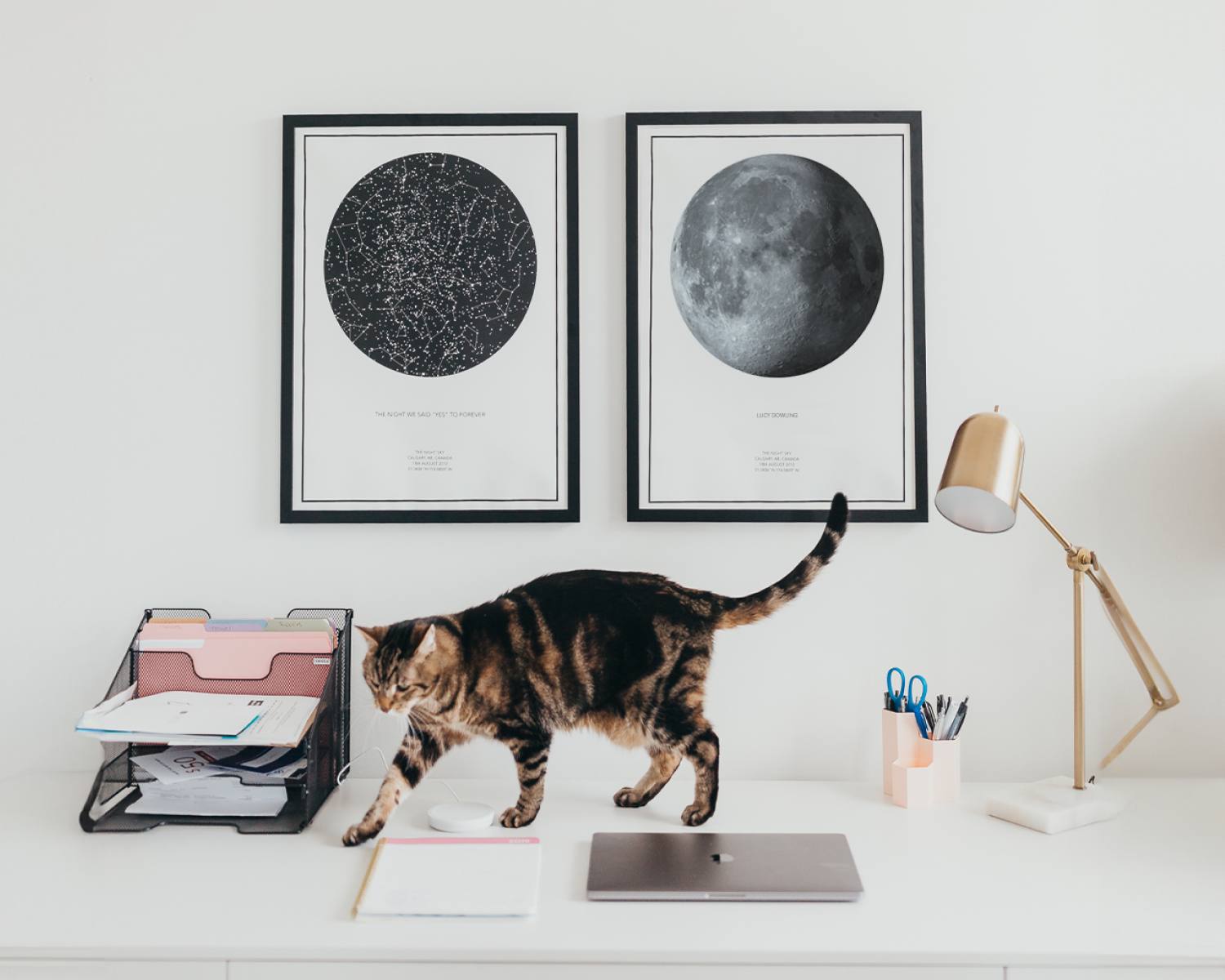 Night Sky Mondphasen Kunstdruck