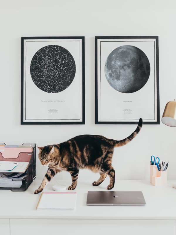Night Sky Mondphasen Kunstdruck