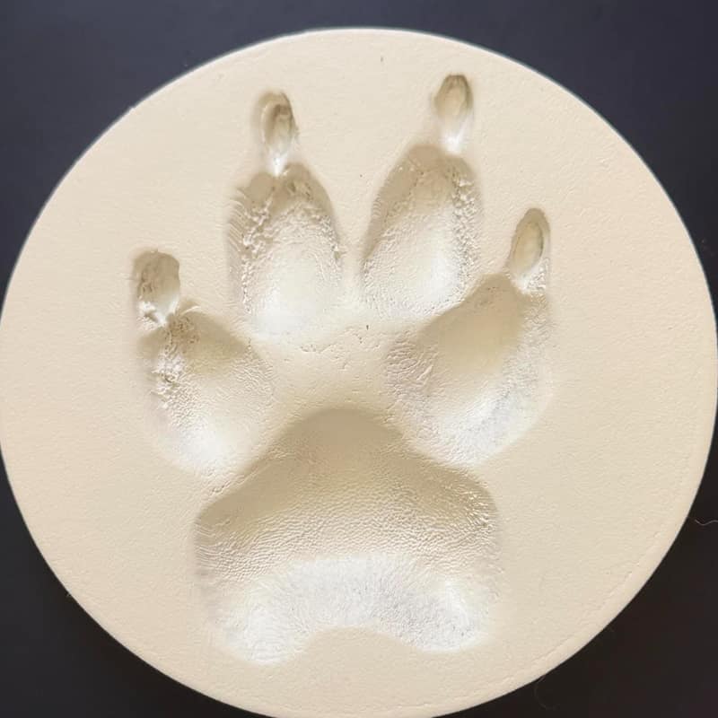 Night Sky Sterling Silver Paw Print Bezel Pendant