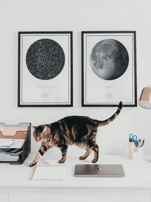 Night Sky Moon Phase Print
