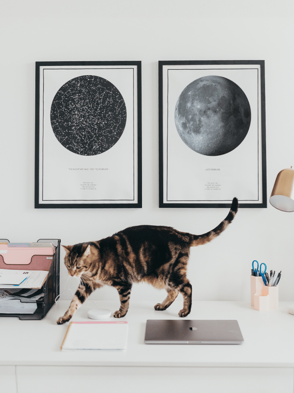 Night Sky Moon Phase Print