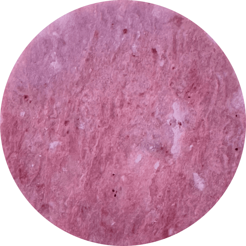 Rose Quartz eclipse pendant
