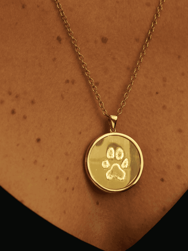 Paw Print Jewelry hero
